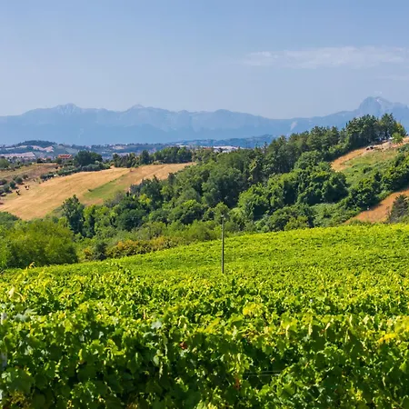 Al Bivio By Interhome Castorano